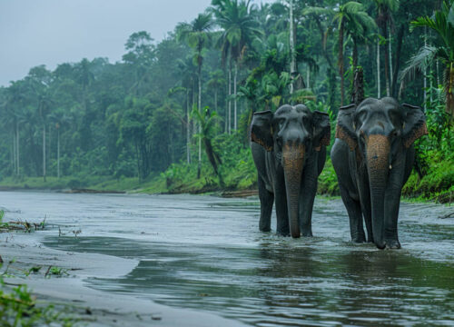 Hidden Gems of Sri Lanka: Beyond the Tourist Trail